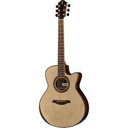 Autres Guitares Acoustiques