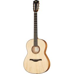 Acoustic Guitars