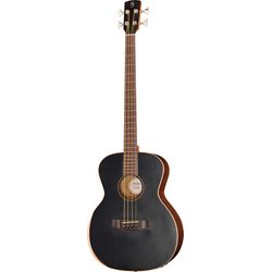 Bajos acústicos / semiacústicos