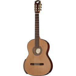 Master / Masterclass Guitars