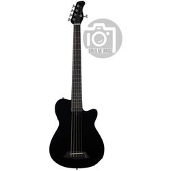 Basses Acoustiques / Semi-Acoustiques