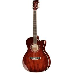 Guitares Acoustiques Haut de Gamme