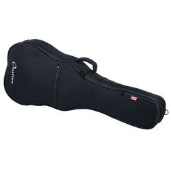 Guitar Cases and Bags