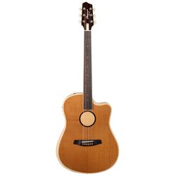 Autres Guitares Acoustiques