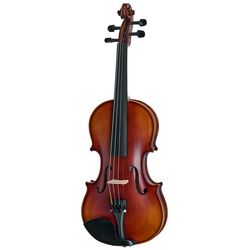 Acoustic Violins