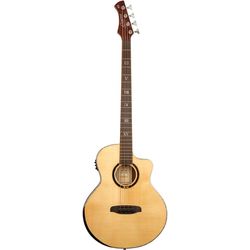 Bajos acústicos / semiacústicos