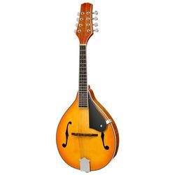 Bluegrassové nástroje