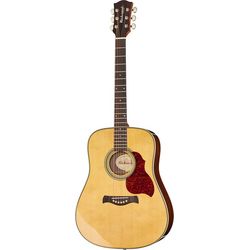 Guitares Dreadnought