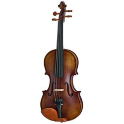 Akoestische violen