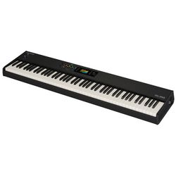 Master Keyboard 88 Tasti
