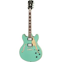 Semiacoustic Guitars