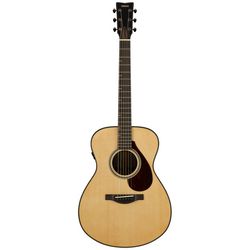 Acoustic Guitars