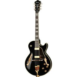 Semiacoustic Guitars