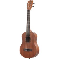 Tenor ukulele