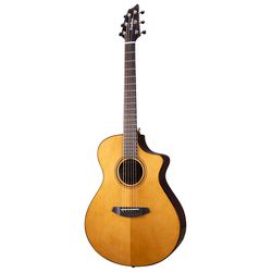 Miscellaneous Acoustic Guitars