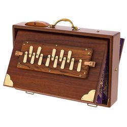 Caja Shruti, Surpeti