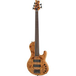 Baixos Fretless