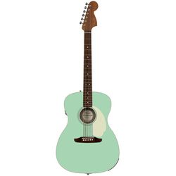 Acoustic Guitars