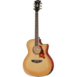 Miscellaneous Acoustic Guitars