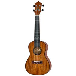 Konzert Ukulelen