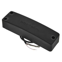Bass Pickups