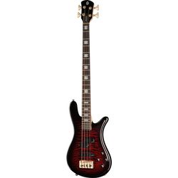 Miscellaneous 4-String Basses