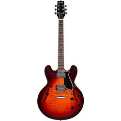 Guitar Hollowbody