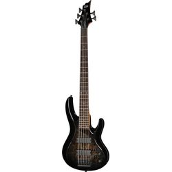Basses Heavy 5 Cordes