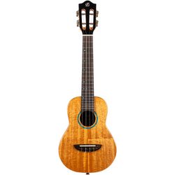 Konzert Ukulelen