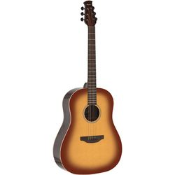 Dreadnought Acoustic Guitars
