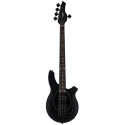 Miscellaneous 5-String Basses