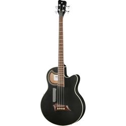 Acoustic & Semi-Acoustic Basses