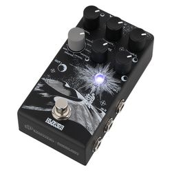 Delays/ Echos