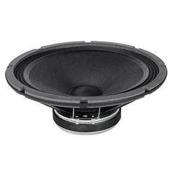 Loudspeaker 10 Inch