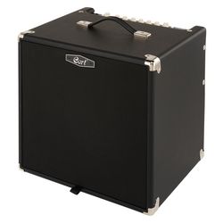Bass Amps