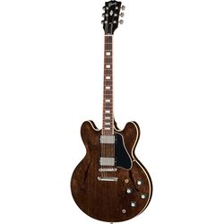 Semiacoustic Guitars