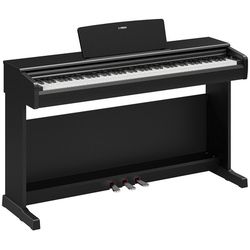 Digital Pianos