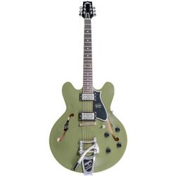 Semiacoustic Guitars