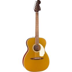 Acoustic Guitars