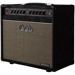 Electric Guitar Amps