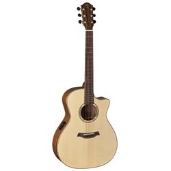 Miscellaneous Acoustic Guitars