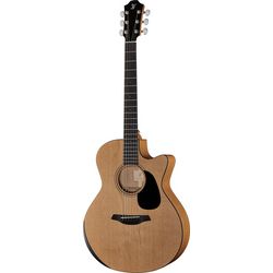 Miscellaneous Acoustic Guitars