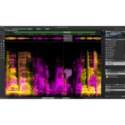 Mastering / Editor Software