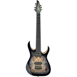 Premium Guitars