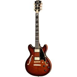 Semiacoustic Guitars
