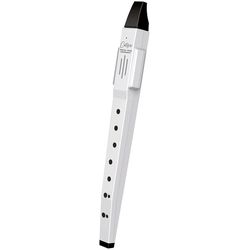 Electronic Wind Instruments