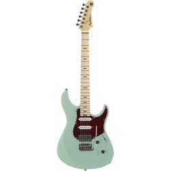 Electric Guitars