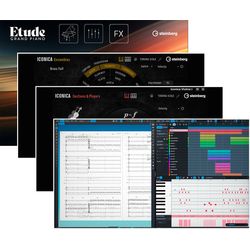 Notationssoftware