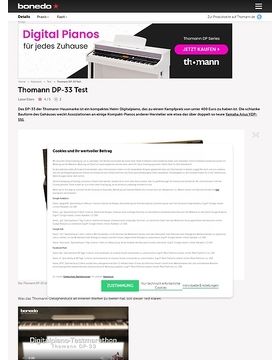 Thomann DP-33