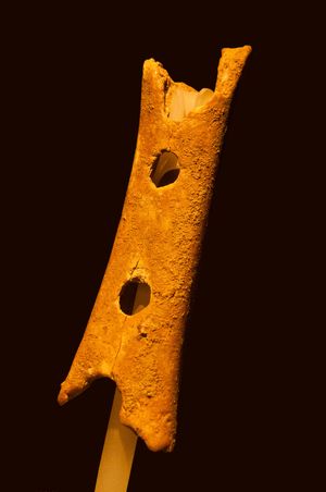 In einer Höhle von Divje Babe (Slovenien) ausgegrabenes Fundstück einer Knochenflöte mit einem Alter von ca. 20.000 Jahren. In einer Höhle von Divje Babe (Slovenien) ausgegrabenes Fundstück einer Knochenflöte mit einem Alter von ca. 20.000 Jahren.